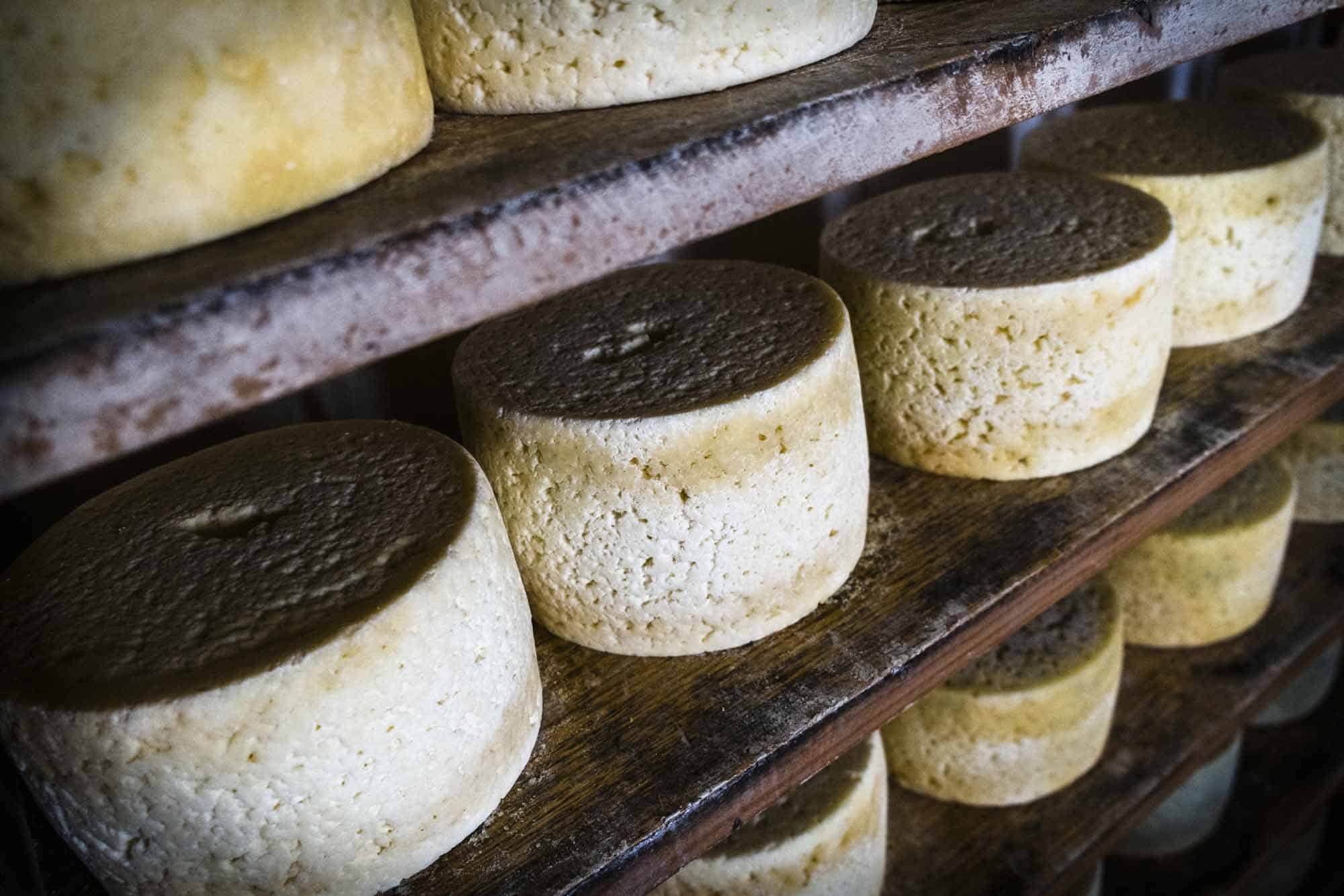 Proceso de elaboración del queso de Cabrales