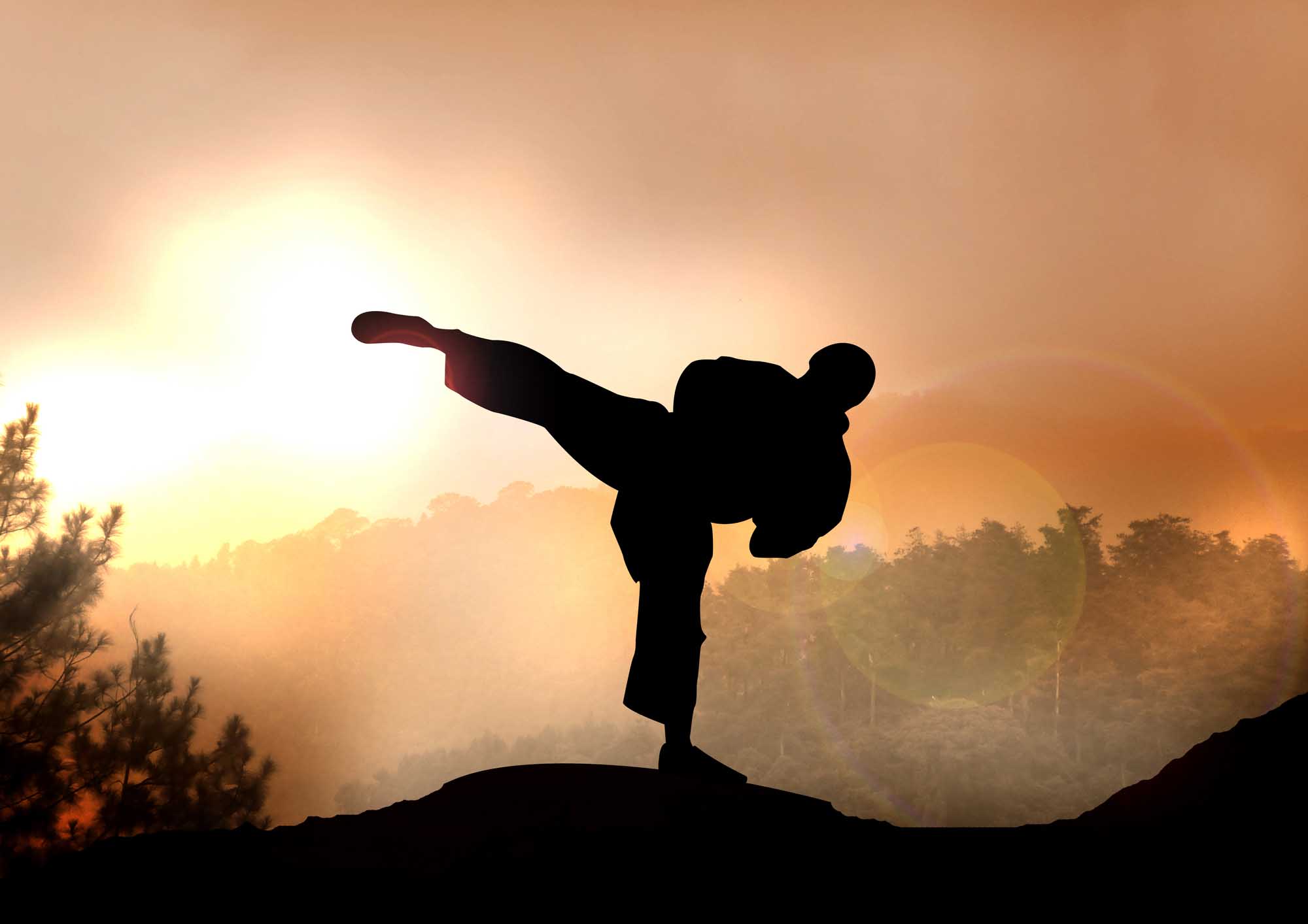 Cobra Kai: La historia de "Karate Kid" continúa en Netflix