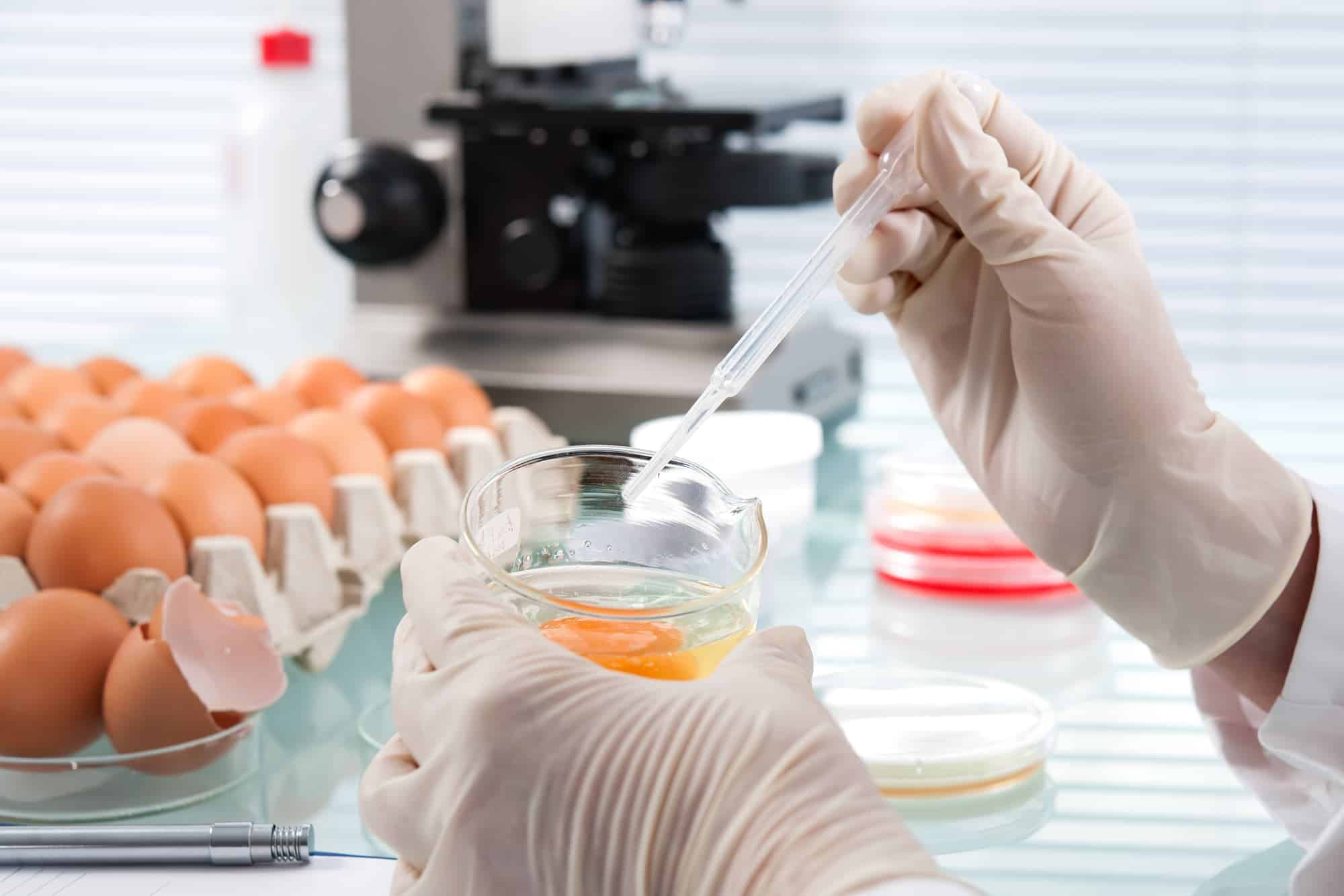 Una crema de yema de huevo creada por un científico del CSIC puede protegernos temporalmente frente al coronavirus