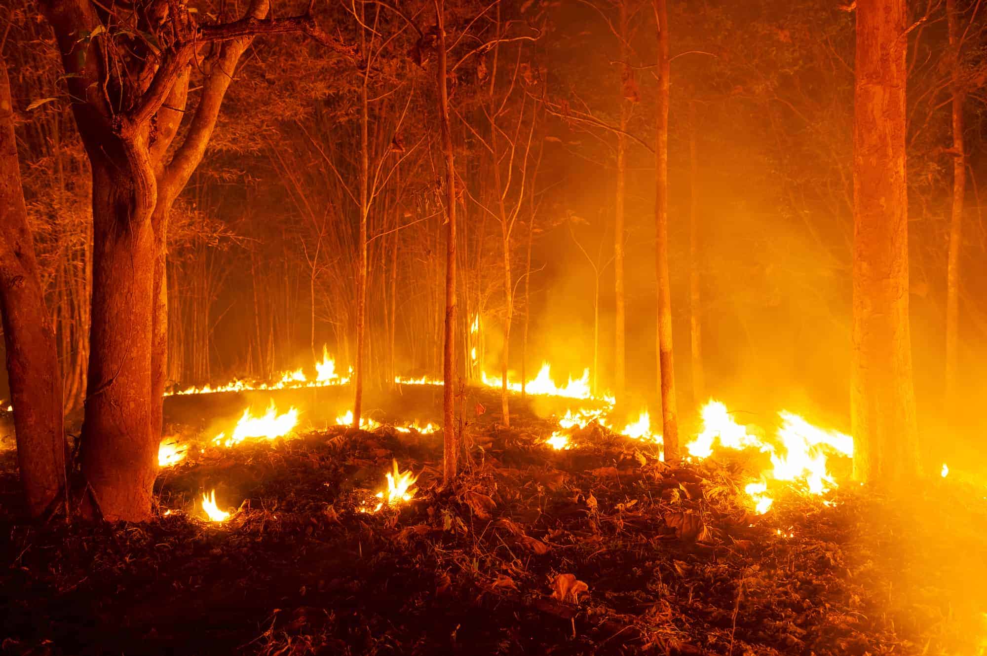 Tecnología para apagar incendios