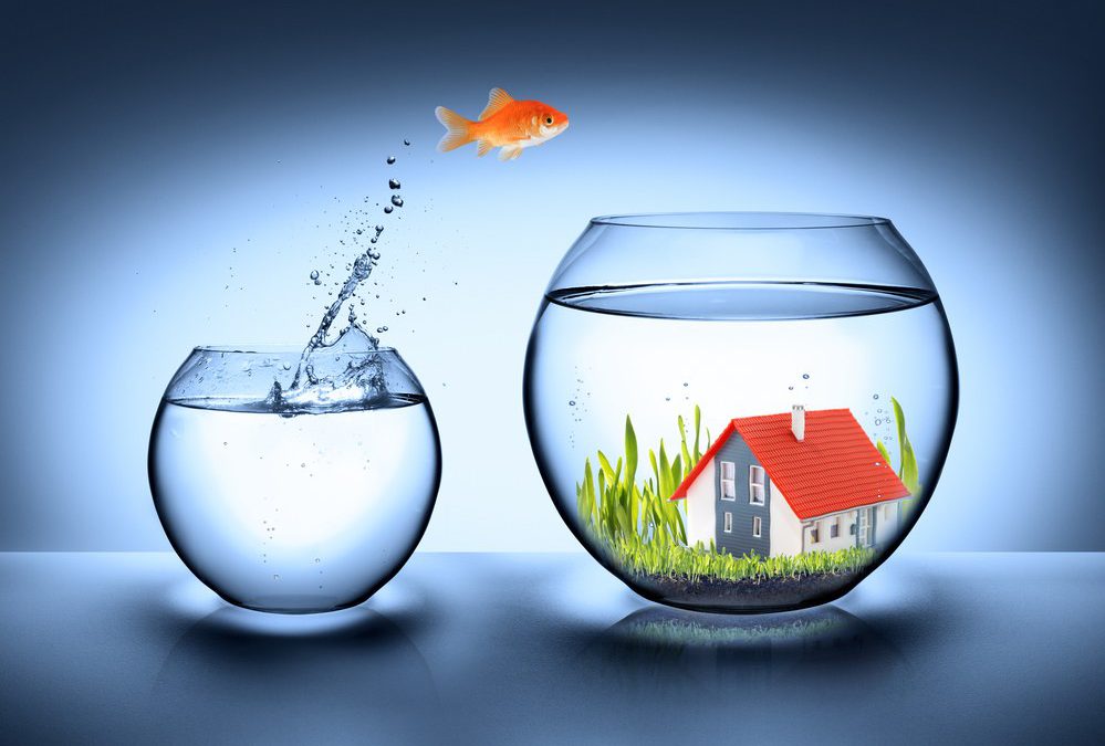 ¿Debería cambiar de hipoteca variable a hipoteca fija?