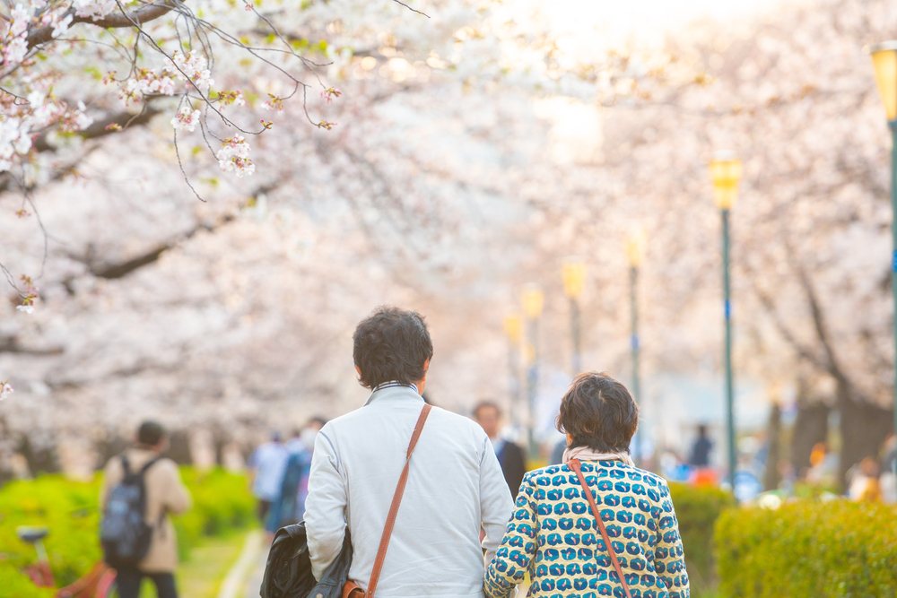 ¿Qué es la japonización?