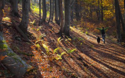 ¿Vacaciones en septiembre? 4 escapadas muy baratas