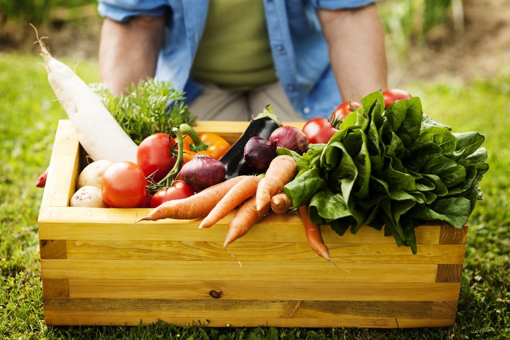 ¿Qué es la gastronomía sostenible y qué ventajas tiene?