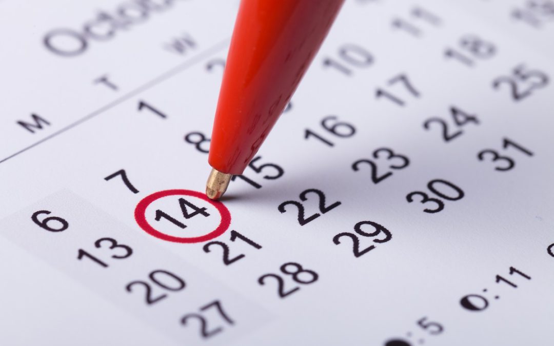 Calendario laboral 2023: Consulta los días festivos del año que viene